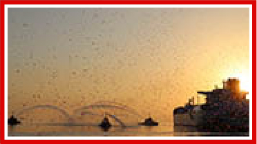 Floating Storage and Regasification Unit (FSRU) - Dörtyol